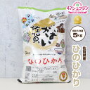 【令和5年産】 ヒノヒカリ 佐賀米 佐賀県産米 「 佐賀県産 ひのひかり 5kg がばい佐賀米 」【よしもと47シュフラン2016年度金賞受賞】佐賀県食糧株式会社限定ブランド