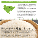 【令和5年産】コシヒカリ 佐賀米 佐賀県産米 「 産地限定米 こしひかり 2kg 佐賀県唐津市 上場産 」佐賀県食糧株式会社限定ブランド 3