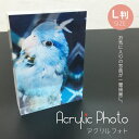 キューブ型フォトスタンド アクリルフォト L判サイズ 鳥 写真入り ペット アクリルフォト アクリルブロック フォトアクリル フォトフレーム キューブ オーダーメイド プレゼント ギフト 鳥グッズ 鳥雑貨 acrylic-photo-bird