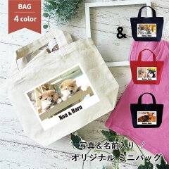 https://thumbnail.image.rakuten.co.jp/@0_gold/everypet/img/item/bag/twin-colorbag.jpg