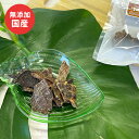 犬 おやつ 無添加 馬肉薄焼き 50g Mサイズ 国産フード ドッグステーブルプラス ペット ギフト プレゼント【名入れ対象外】