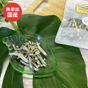 おやつ 無添加 チーズ香る減塩煮干し 35g 国産フード ドッグステーブルプラス ペット ギフト プレゼント【名入れ対象外】