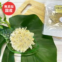犬 おやつ 無添加 減塩花びらちりめん 6g 国産フード ドッグステーブルプラス ペット ギフト プレゼント【名入れ対象外】