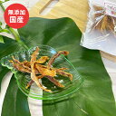 犬 おやつ 無添加 鶏ささみ細切りハード 65g Mサイズ 国産フード ドッグステーブルプラス ペット ギフト プレゼント【名入れ対象外】