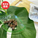 犬 おやつ 無添加 馬肉チーズキューブ 35g 国産フード ドッグステーブルプラス ペット ギフト プレゼント【名入れ対象外】