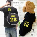 犬とペアルック 2点セット 犬服 タンクトップ 半袖 Tシャツ 名入れ ユニフォーム お揃い おそろい 小型犬 中型犬 大型犬 カップル Tシャツ 春服 夏服 犬 飼い主 人とお揃い 飼い主と犬 ギフト プレゼント