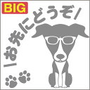 安全運転めがね犬ステッカー イタリアングレーハウンド 18cm 20cm 車 ステッカー 転写 シール ペット【名入れ対象外】