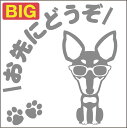 送料無料 安全運転めがね犬ステッカー ミニチュアピンシャー 18cm 20cm 車 ステッカー 転写 シール ペット 名入れ対象外