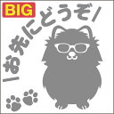 送料無料 安全運転めがね犬ステッカー ポメラニアン 18cm 20cm 車 ステッカー 転写 シール ペット 名入れ対象外