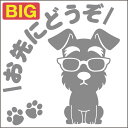安全運転めがね犬ステッカー シュナウザー 18cm 20cm 車 ステッカー 転写 シール ペット【名入れ対象外】