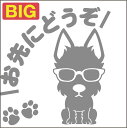 送料無料 安全運転めがね犬ステッカー ウェスティ 18cm 20cm 車 ステッカー 転写 シール ペット 名入れ対象外