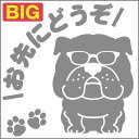 安全運転めがね犬ステッカー ブルドッグ 18cm 20cm 車 ステッカー 転写 シール ペット【名入れ対象外】