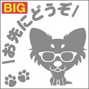 送料無料 安全運転めがね犬ステッカー チワワ ロング 18cm 20cm 車 ステッカー 転写 シール ペット 名入れ対象外