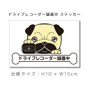 送料無料 ドラレコステッカー パグ 犬ステッカー 車ステッカー ドライブレコーダー録画中 窓 ペット dog ドッグ イヌ いぬペット 名入れ対象外 ペット