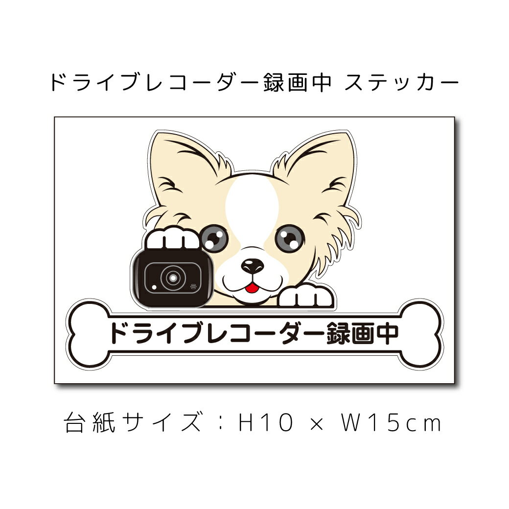 送料無料 ドラレコステッカー チワワ ロング 犬ステッカー 車ステッカー ドライブレコーダー録画中 窓 ペット dog ドッグ イヌ いぬペット ペット【名入れ対象外】