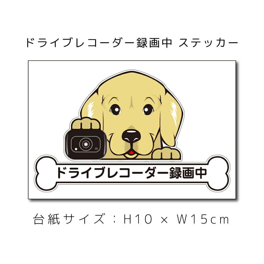 送料無料 ドラレコステッカー ゴールデンレトリバー 犬ステッカー 車ステッカー ドライブレコーダー録画中 窓 ペット dog ドッグ イヌ いぬペット ペット【名入れ対象外】