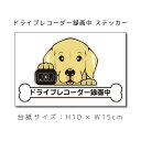 ドラレコステッカー ゴールデンレトリバー 犬ステッカー 車ステッカー ドライブレコーダー録画中 窓 ペット dog ドッグ イヌ いぬペット ペット【名入れ対象...