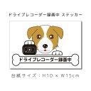 送料無料 ドラレコステッカー ジャックラッセル 犬ステッカー 車ステッカー ドライブレコーダー録画中 窓 ペット dog ドッグ イヌ いぬペット 名入れ対象外 ペット