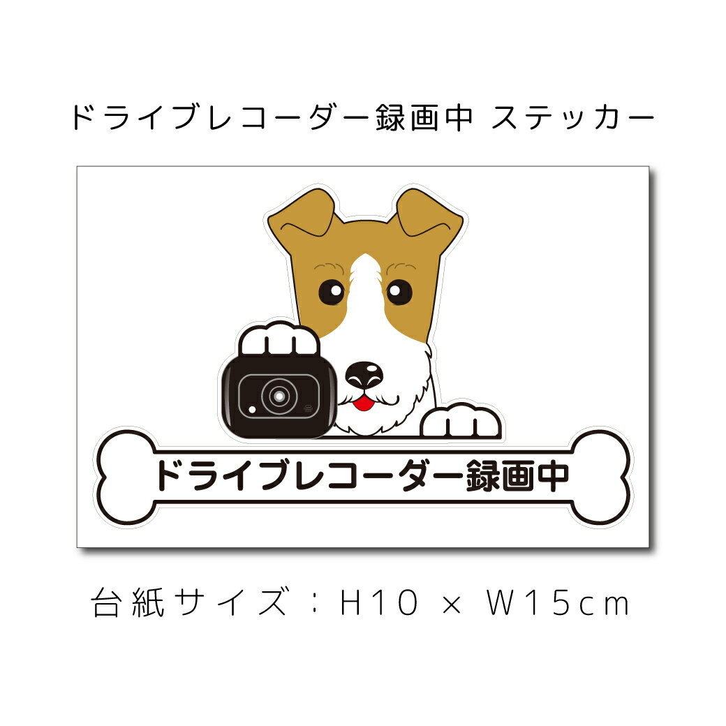 ドラレコステッカー ワイヤーフォックステリア 犬ステッカー 車ステッカー ドライブレコーダー録画中 窓 ペット dog ドッグ イヌ いぬペット ペット【名入れ対象外】