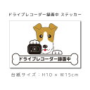 送料無料 ドラレコステッカー ワイヤーフォックステリア 犬ステッカー 車ステッカー ドライブレコーダー録画中 窓 ペット dog ドッグ イヌ いぬペット 名入れ対象外 ペット