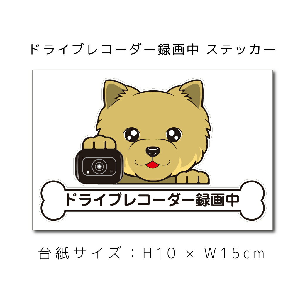 送料無料 ドラレコステッカー ヨークシャテリア ショート ヨーキー 犬ステッカー 車ステッカー ドライブレコーダー録画中 窓 ペット dog ドッグ イヌ いぬペット ペット【名入れ対象外】