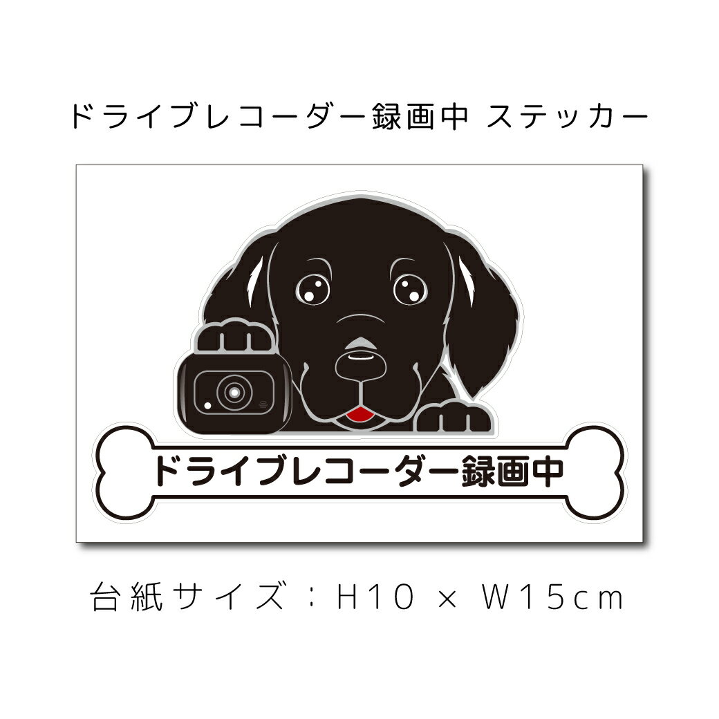 送料無料 ドラレコステッカー フラットコーテッドレトリバー 犬ステッカー 車ステッカー ドライブレコーダー録画中 窓 ペット dog ドッグ イヌ いぬペット 名入れ対象外 ペット