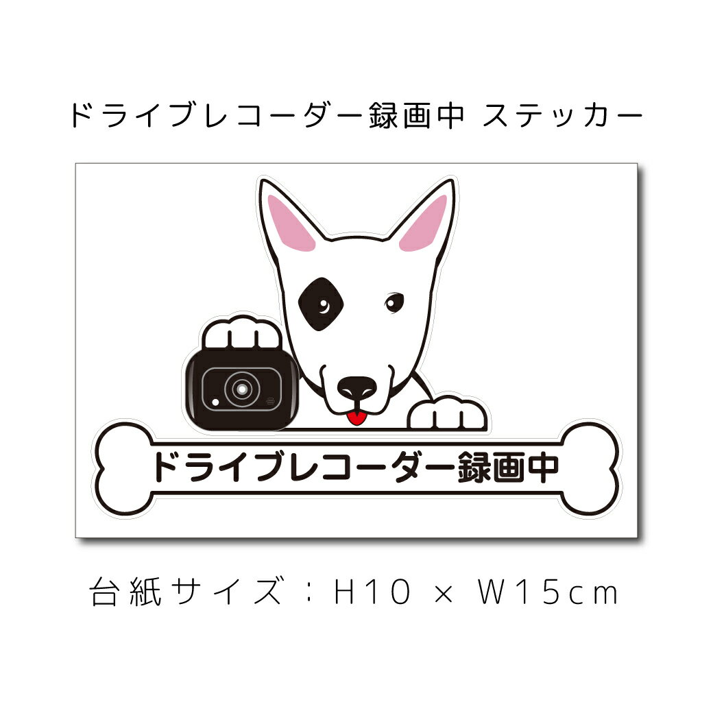 送料無料 ドラレコステッカー ブルテリア 犬ステッカー 車ステッカー ドライブレコーダー録画中 窓 ペット dog ドッグ イヌ いぬペット 名入れ 対象外 ペット