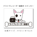 送料無料 ドラレコステッカー ブルテリア 犬ステッカー 車ステッカー ドライブレコーダー録画中 窓 ペット dog ドッグ イヌ いぬペット 名入れ対象外 ペット