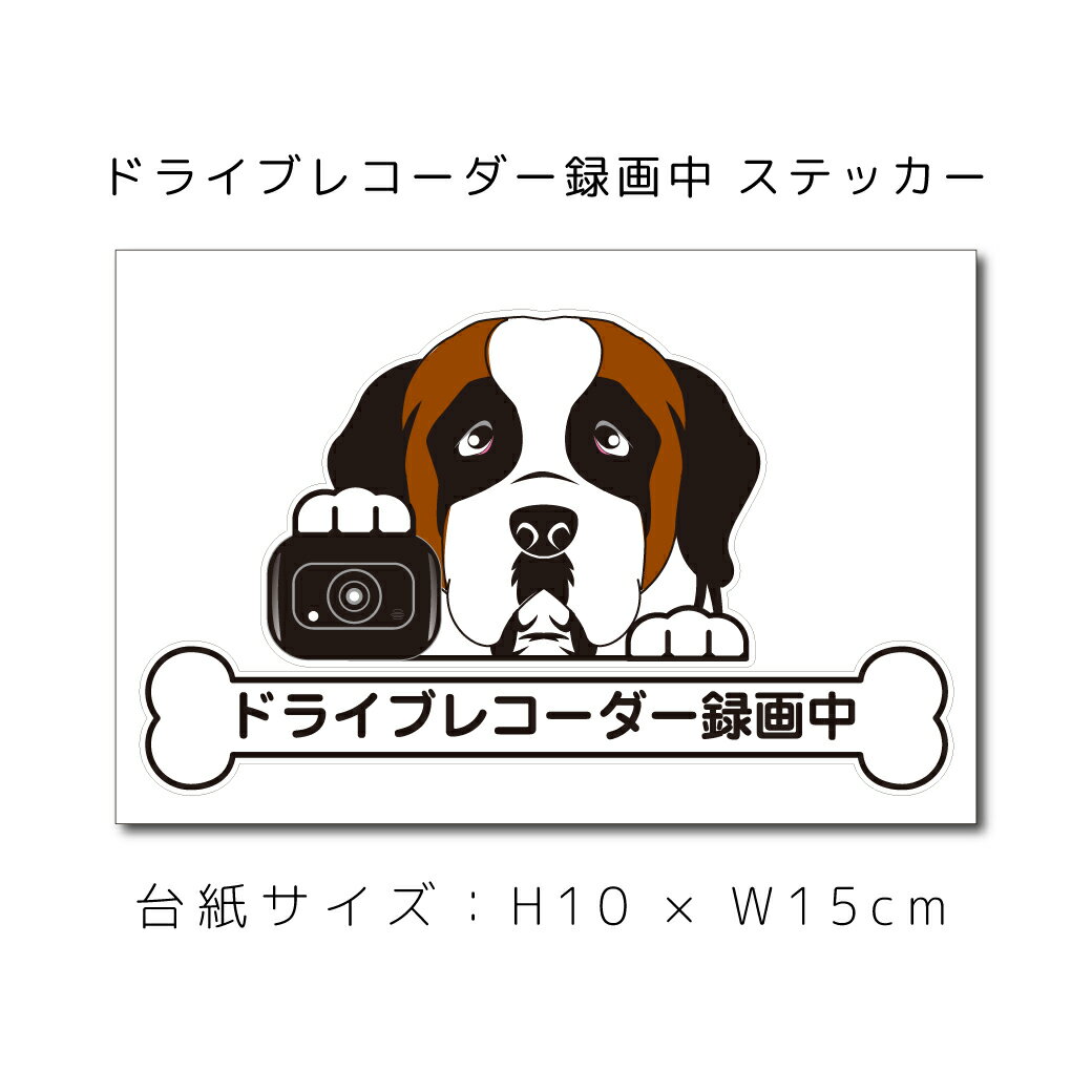 送料無料 ドラレコステッカー セントバーナード 犬ステッカー 車ステッカー ドライブレコーダー録画中 窓 ペット dog ドッグ イヌ いぬペット ペット【名入れ対象外】