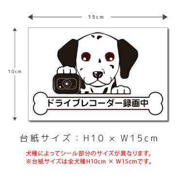 ドラレコステッカー ダルメシアン 犬ステッカー 車ステッカー ドライブレコーダー録画中 窓 ペット dog ドッグ イヌ いぬ【 ペット 名入れ 対象外】 ギフト プレゼント