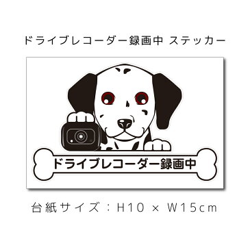 ドラレコステッカー ダルメシアン 犬ステッカー 車ステッカー ドライブレコーダー録画中 窓 ペット dog ドッグ イヌ いぬ【 ペット 名入れ 対象外】 ギフト プレゼント