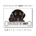 ドラレコステッカー ラブラドールレトリバー (黒) 犬ステッカー 車ステッカー ドライブレコーダー録画中 窓 ペット ドッグ いぬ ペット リアガラス 車後ろ ...