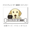 送料無料 ドラレコステッカー ラブラドール 犬ステッカー 車ステッカー ドライブレコーダー録画中 窓 ペット dog ドッグ イヌ いぬペット 名入れ対象外 ペット