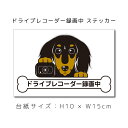 送料無料 ドラレコステッカー ミニチュアダックスフンド ロング (黒) 犬ステッカー 車ステッカー ドライブレコーダー録画中 窓 ペット dog ドッグ イヌ いぬペット 名入れ対象外 ペット