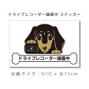 ドラレコステッカー ミニチュアダックスフンド スムース (黒) 犬ステッカー 車ステッカー ドライブレコーダー録画中 窓 ペット dog ドッグ イヌ いぬペッ...