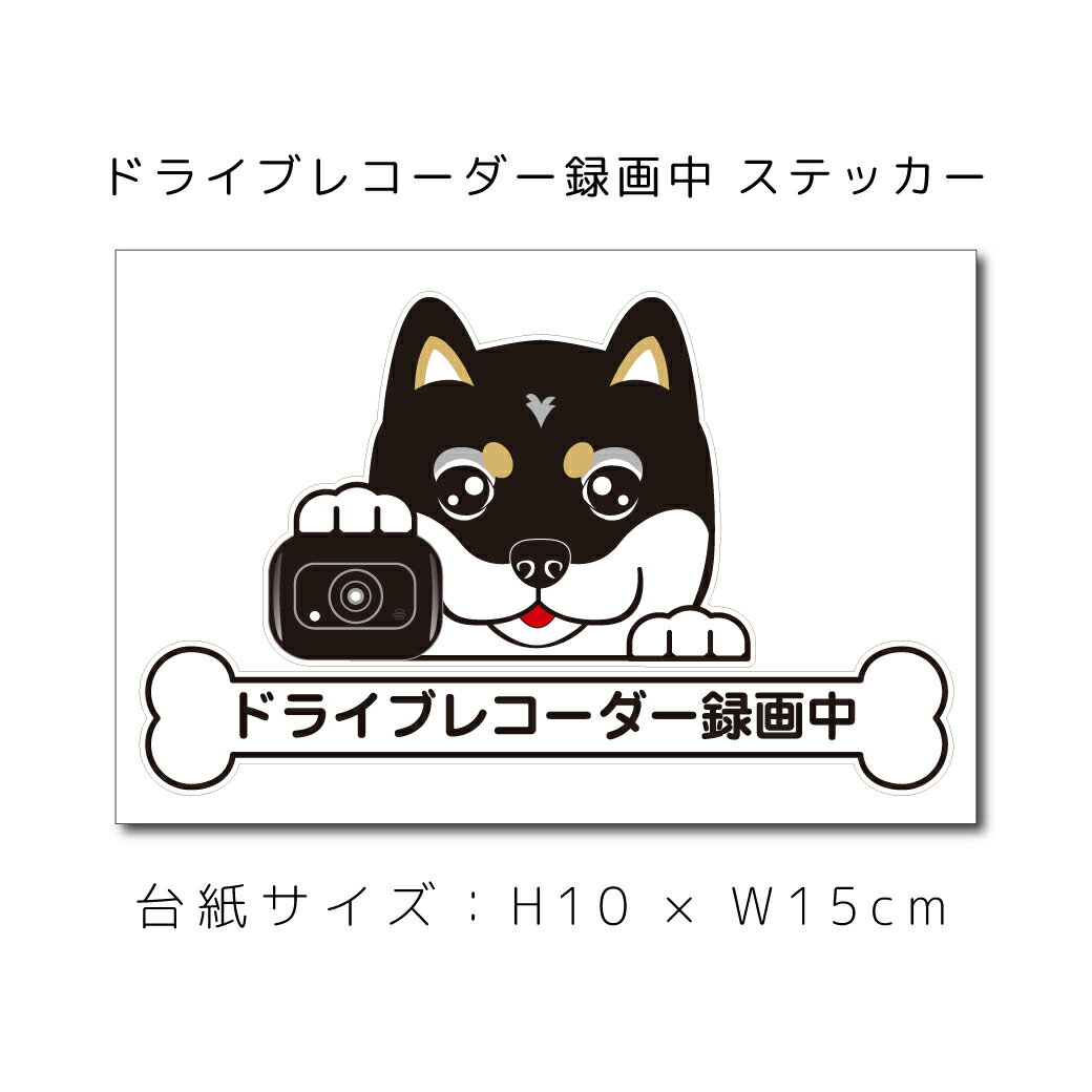 送料無料 ドラレコステッカー 柴犬 (黒) しば シバ 犬ステッカー 車ステッカー ドライブレコーダー録画中 窓 ペット dog ドッグ イヌ いぬペット 名入れ対象外 ペット