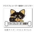 ドラレコステッカー チワワロング(黒) 犬ステッカー 車ステッカー ドライブレコーダー録画中 窓 ペット dog ドッグ イヌ いぬペット ペット【名入れ対象外...