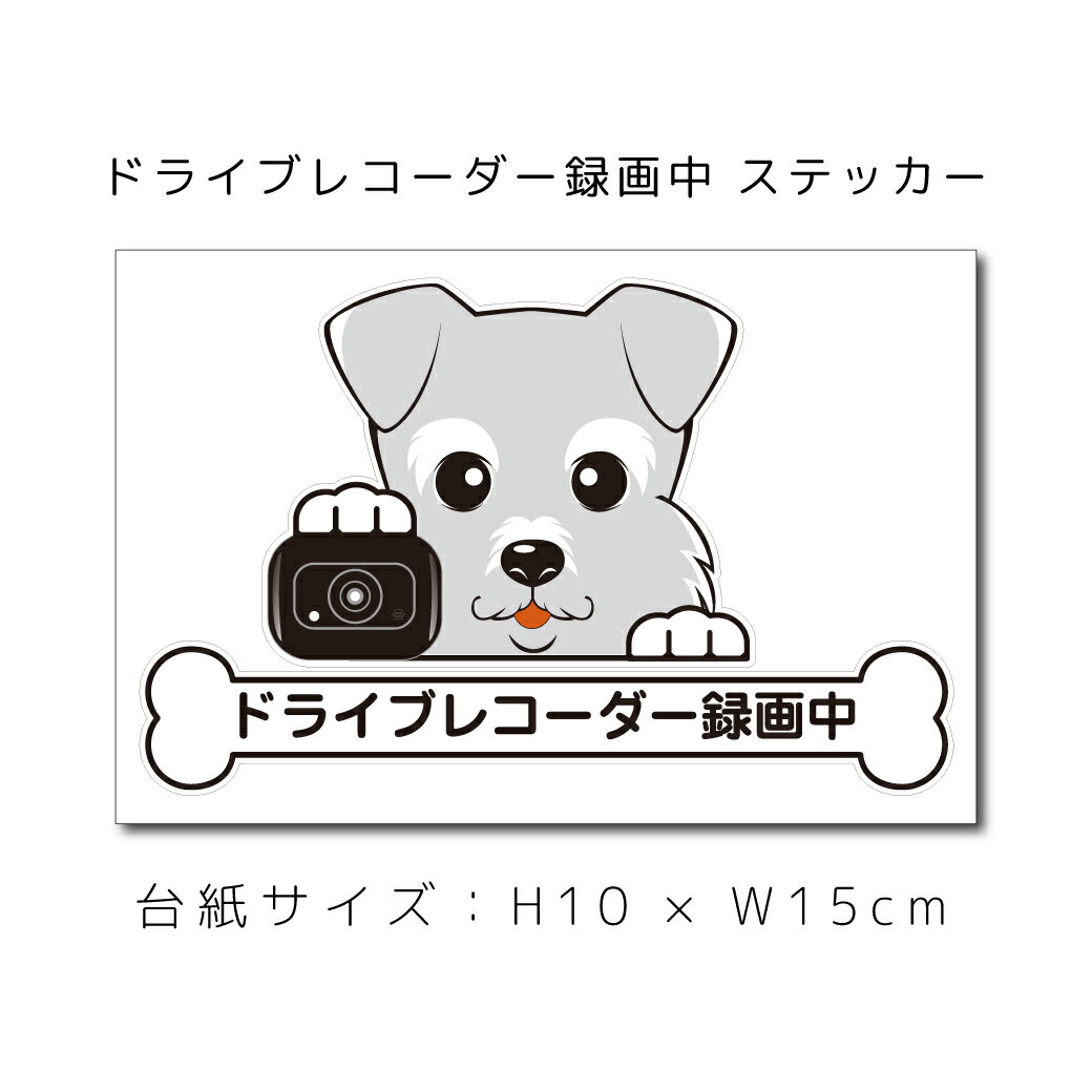 送料無料 ドラレコステッカー シュナウザー 犬ステッカー 車ステッカー ドライブレコーダー録画中 窓 ペット dog ドッグ イヌ いぬペット ペット【名入れ対象外】