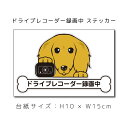 ドラレコステッカー ミニチュアダックスフンド ロング 犬ステッカー 車ステッカー ドライブレコーダー録画中 窓 ペット dog ドッグ イヌ いぬペット ペット...