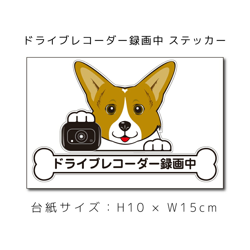 送料無料 ドラレコステッカー コーギー 犬ステッカー 車ステッカー ドライブレコーダー録画中 窓 ペット dog ドッグ イヌ いぬペット ペット【名入れ対象外】