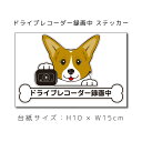 ドラレコステッカー コーギー 犬ステッカー 車ステッカー ドライブレコーダー録画中 窓 ペット dog ドッグ イヌ いぬペット ペット【名入れ対象外】