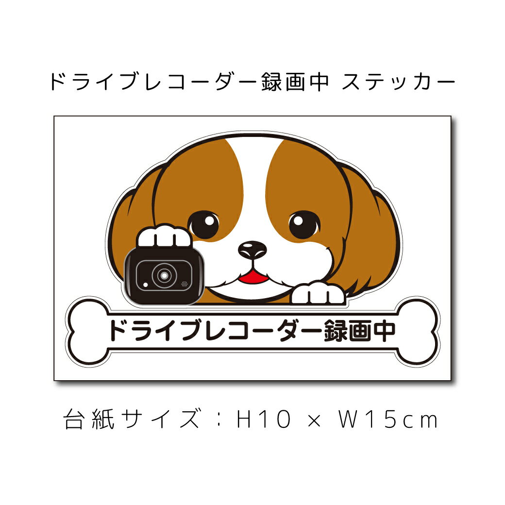 送料無料 ドラレコステッカー シーズー 犬ステッカー 車ステッカー ドライブレコーダー録画中 窓 ペット dog ドッグ イヌ いぬペット ペット【名入れ対象外】