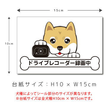 ドラレコステッカー 柴犬 しば シバ 犬ステッカー 車ステッカー ドライブレコーダー録画中 窓 ペット dog ドッグ イヌ いぬ【名入れ対象外】