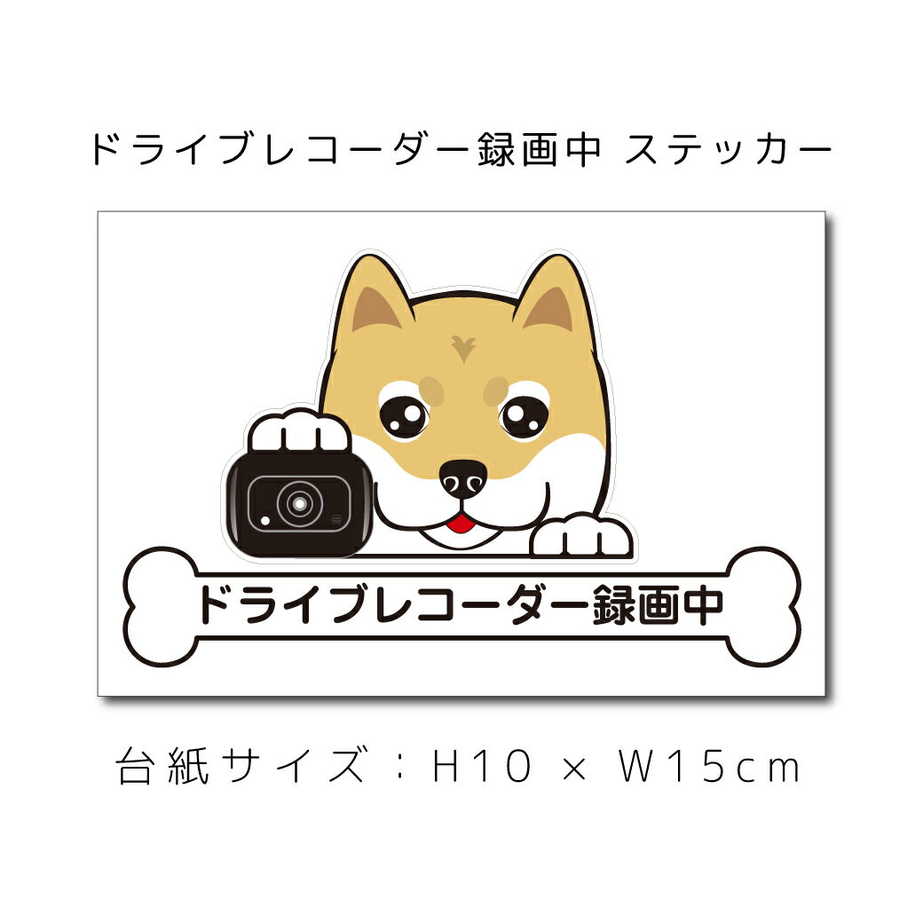 送料無料 ドラレコステッカー 柴犬 しば シバ 犬ステッカー 車ステッカー ドライブレコーダー録画中 窓 ペット dog ドッグ イヌ いぬペット ペット【名入れ対象外】