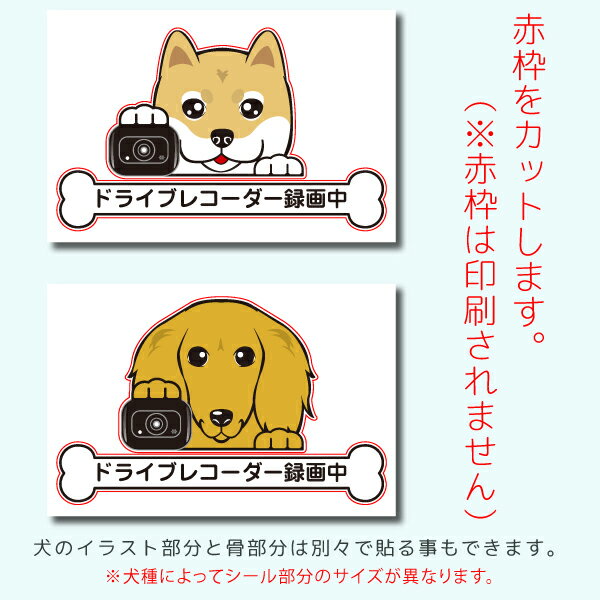 送料無料 ドラレコステッカー ブルテリア 犬ステッカー 車ステッカー ドライブレコーダー録画中 窓 ペット dog ドッグ イヌ いぬペット 名入れ 対象外 ペット