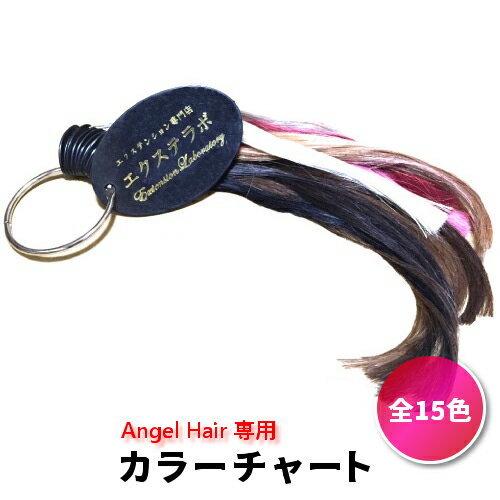 AngelHair専用 エクステ カラーチャート