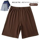 2枚セット ルームパンツ メンズ 綿 ルームウェア ショートパンツ 半ズボン コットン 部屋着 パジャマ 大きいサイズ ゆったり 無地 薄手 ナイトウェア 短パン ウエストゴム ストレッチ リラックス 春夏 カジュアル シンプル ボトムス 送料無料