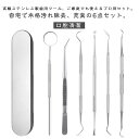 6点セット 歯石取り 歯石とり 器具 自分で取る 自宅用 歯垢 ヤニとり スケーラー ステンレス製 先極細 デンタルツール 歯石除去 プロ仕様 口腔ケア器具 虫...