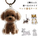 ペット 遺毛 ケース 透明 ペット 遺毛入れ キーホルダー 猫 犬の毛収納ボトル ペットメモリアルボトル 犬のキーホルダー 猫のキーホルダー 抜け毛収納 携帯 ...