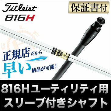 日本正規品【メーカーカスタム】タイトリスト 816H1/816H2 シャフト単品 DG ダイナミックゴールド SL